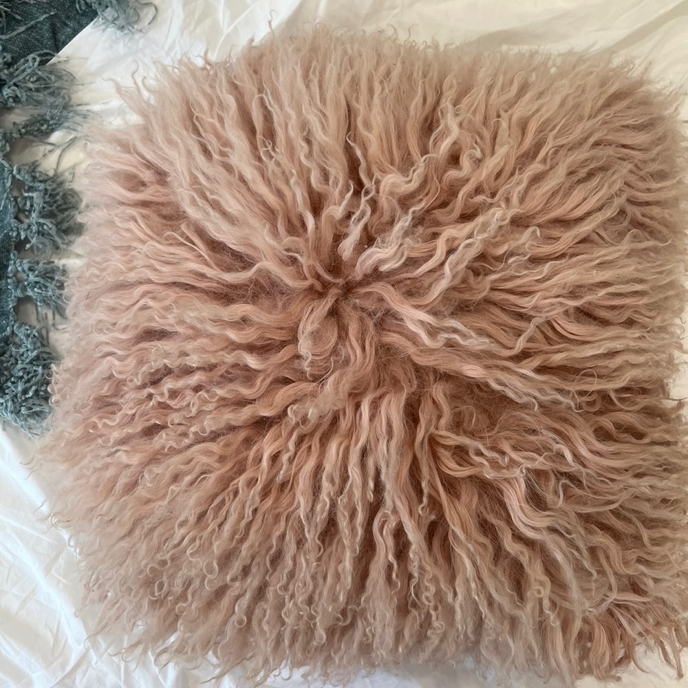 West elm Sherpa pillow